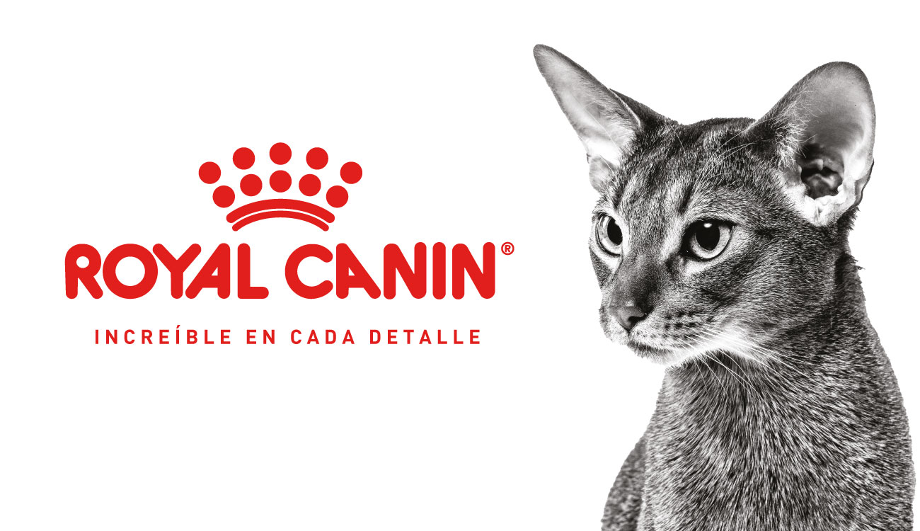 revolution slider image 98