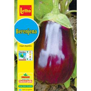 LETHO BERENJENA BLACK...