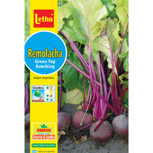LETHO REMOLACHA GREEN TOP...