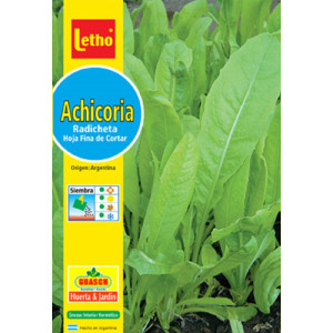 LETHO ACHICORIA RADICHETA X...