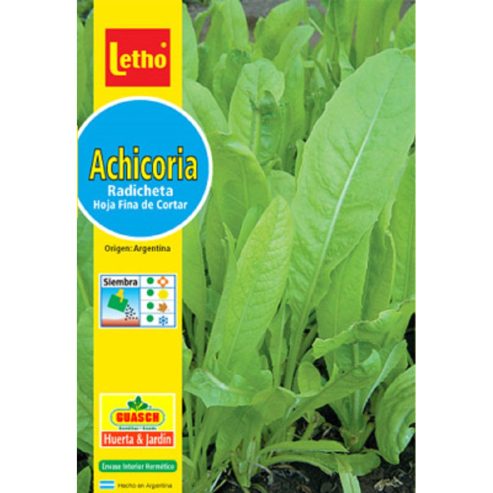 LETHO ACHICORIA RADICHETA X 10 GRAMOS