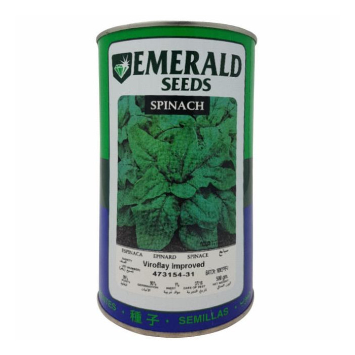 ESPINACA VIROFLAY IMPROVED -EMERALD- LATA X 500 GRAMOS