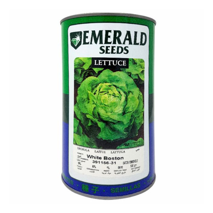 LECHUGA WHITE BOSTON -EMERALD- LATA X 500 GRAMOS