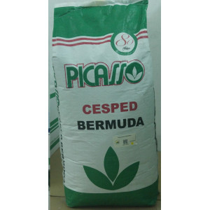 CESPED -PICASSO- BERMUDA...