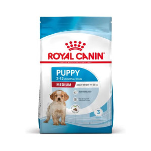 RCF SHN MEDIUM PUPPY  X 15...