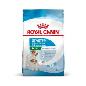 RCF SHN MINI STARTER M&B X...