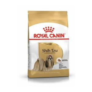 RCF BHN SHIH TZU ADULT X...