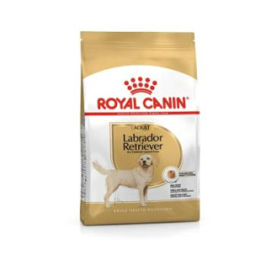 RC SBN LABRADOR RETRIEVER...