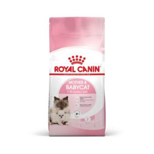 RCF FHN MOTHER & BABY CAT X...