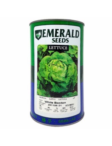 LECHUGA WHITE BOSTON -EMERALD- LATA X 500 GRAMOS
