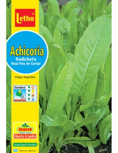 LETHO ACHICORIA RADICHETA X 10 GRAMOS