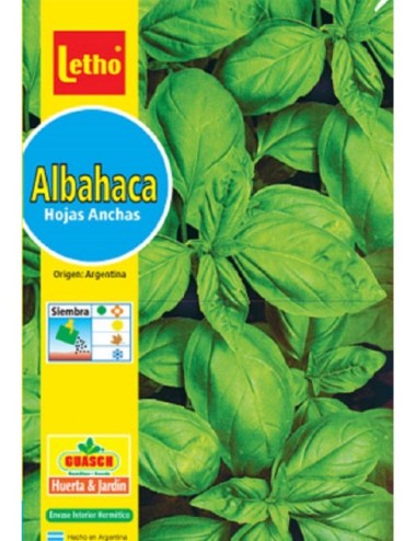 LETHO ALBAHACA HOJAS ANCHAS X 4 GRAMOS