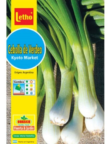 LETHO CEBOLLA DE VERDEO KYOTO MARKET X 3 GRAMOS