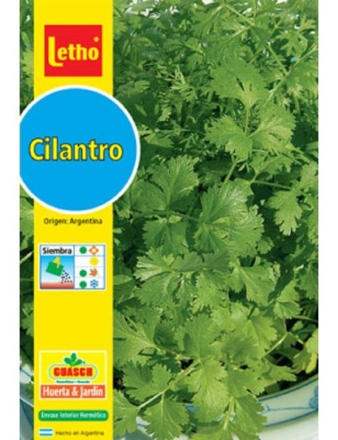 LETHO CILANTRO COMÚN X 10 GRAMOS