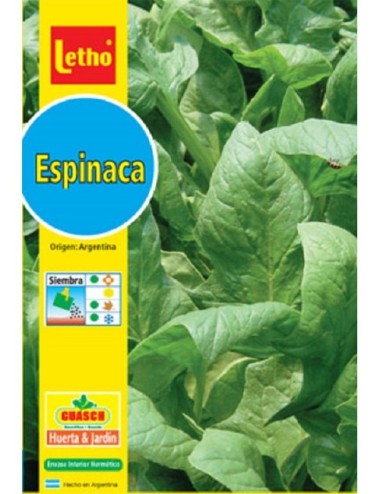 LETHO ESPINACA VIROFLAY X 10 GRAMOS