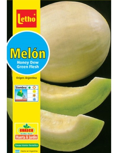 LETHO MELÓN HONEY DEW GREEN FLESH X 6 GRAMOS