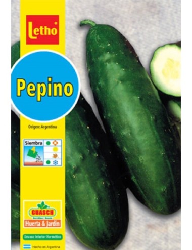 LETHO PEPINO POINSET X 5 GRAMOS