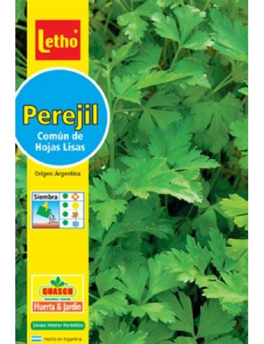 LETHO PEREJIL COMÚN HOJA LISA X 10 GRAMOS