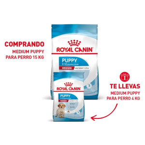 RCF SHN MEDIUM PUPPY  X 15...