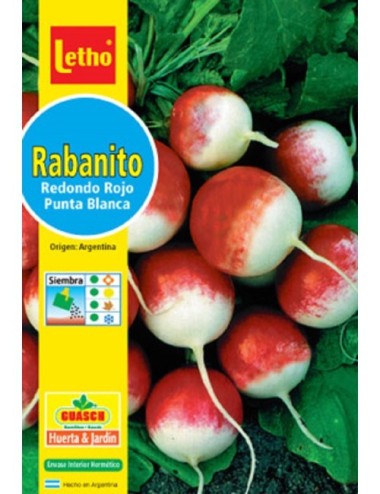 LETHO RABANITO REDONDO ROJO PUNTA BLANCA X 10 GRAMOS