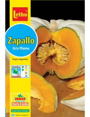 LETHO ZAPALLO GRIS PLOMO X 6 GRAMOS