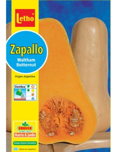 LETHO ZAPALLO WALTHAM BUTTERNUT X 6 GRAMOS
