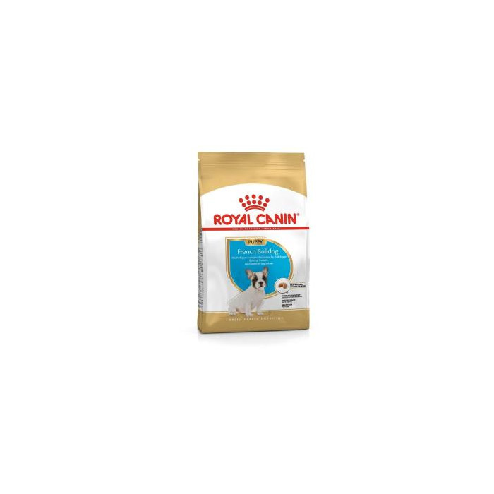 RCF BHN FRENCH BULLDOG PUPPY X 1 KILO