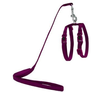 ARNES + TIRADOR DE NYLON P...