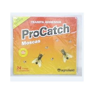 TRAMPA PARA MOSCAS...