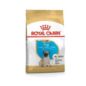 RCF BHN PUG  PUPPY X 1,5 KILOS
