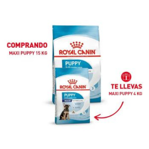 RCF SHN MAXI PUPPY BZ X 15...