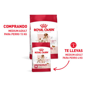 RCF SHN MEDIUM ADULT X 15...