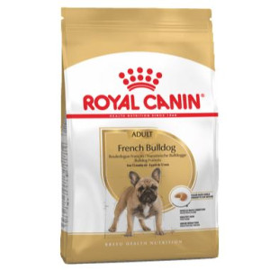 RCF BHN FRENCH BULLDOG...