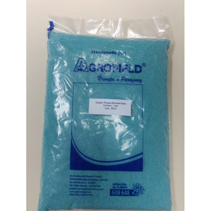 CESPED -PICASSO- BERMUDA GRASS X 1 KILO