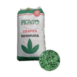 CESPED -PICASSO- BERMUDA...