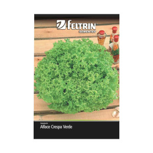 FELTRIN SEMILLA DE LECHUGA...