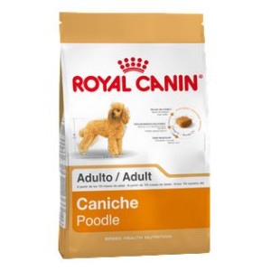 RC SBN MINI POODLE 30 X 1...