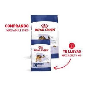 RCF SHN MAXI ADULT X 15 KILOS