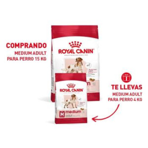 RCF SHN MEDIUM ADULT X 15...