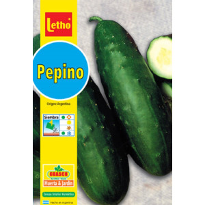 LETHO PEPINO POINSET X 5...