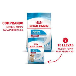 RCF SHN MEDIUM PUPPY  X 15...