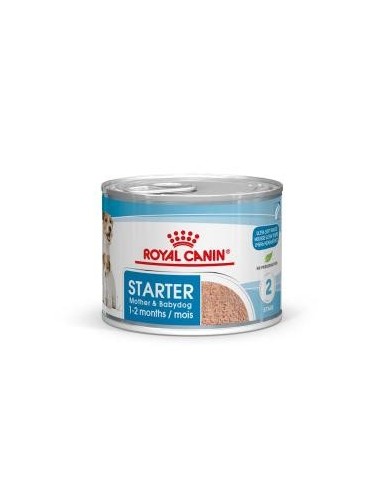 RCF LATA STARTER MOUSSE X 195 GRS