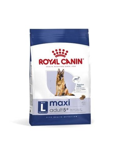 RCF SHN MAXI ADULT 5+ X 4 KG