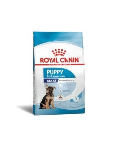 RCF SHN MAXI PUPPY X 4 KILOS