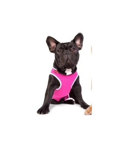 ROPITA QUIRURGICA PARA HEMBRA N° 7