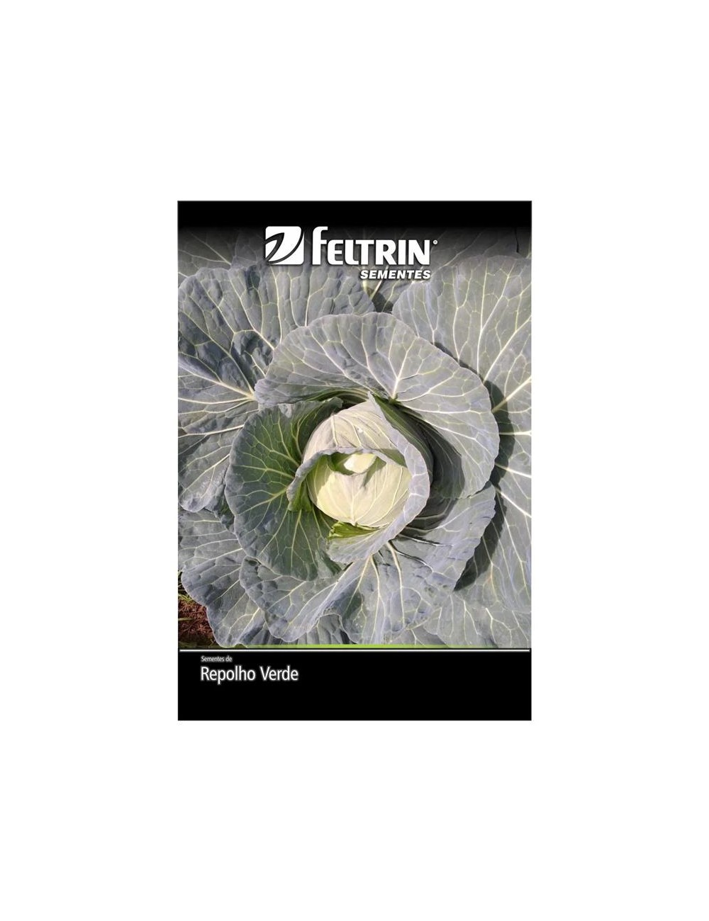 FELTRIN SEMILLA DE REPOLLO CORAZON DE BUEY SOBRE X 7 GRAMOS REF. 111