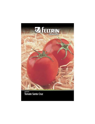 FELTRIN SEMILLA DE TOMATE SANTA CRUZ SOBRE X 1 GRAMO REF. 120