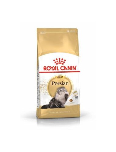 RCF FBN PERSIAN X 400 GRS