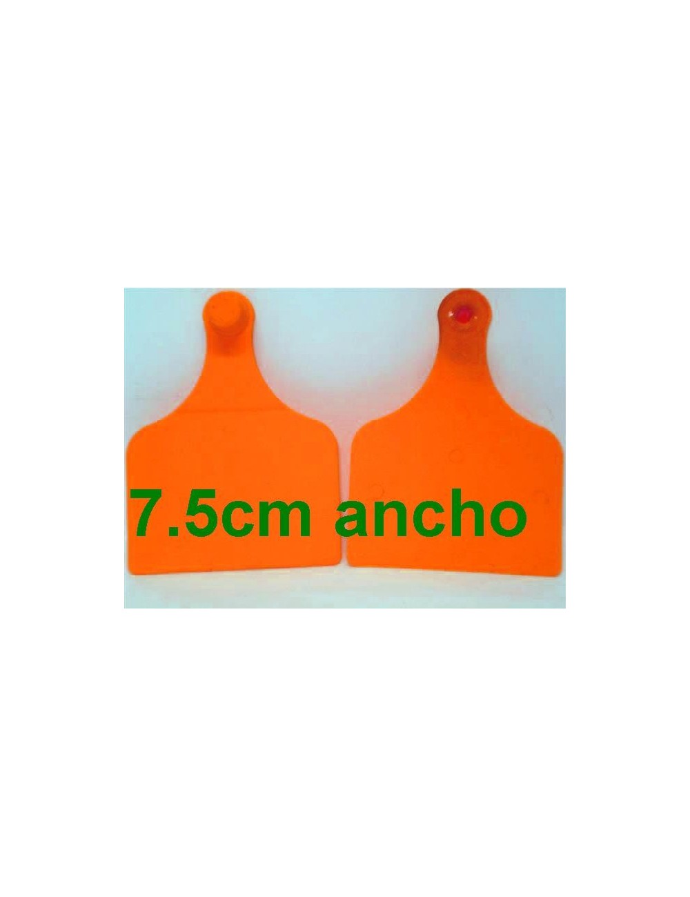 CARAVANA MAXI ANARANJADA -INGENPLAST- X UNIDAD***