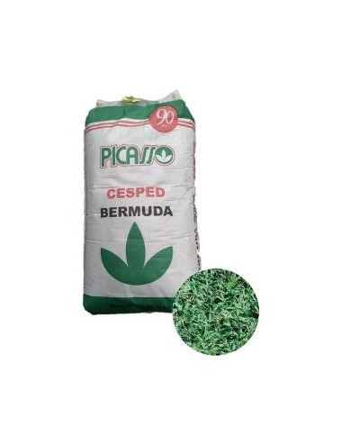 CESPED -PICASSO- BERMUDA GRASS X 25 KILO